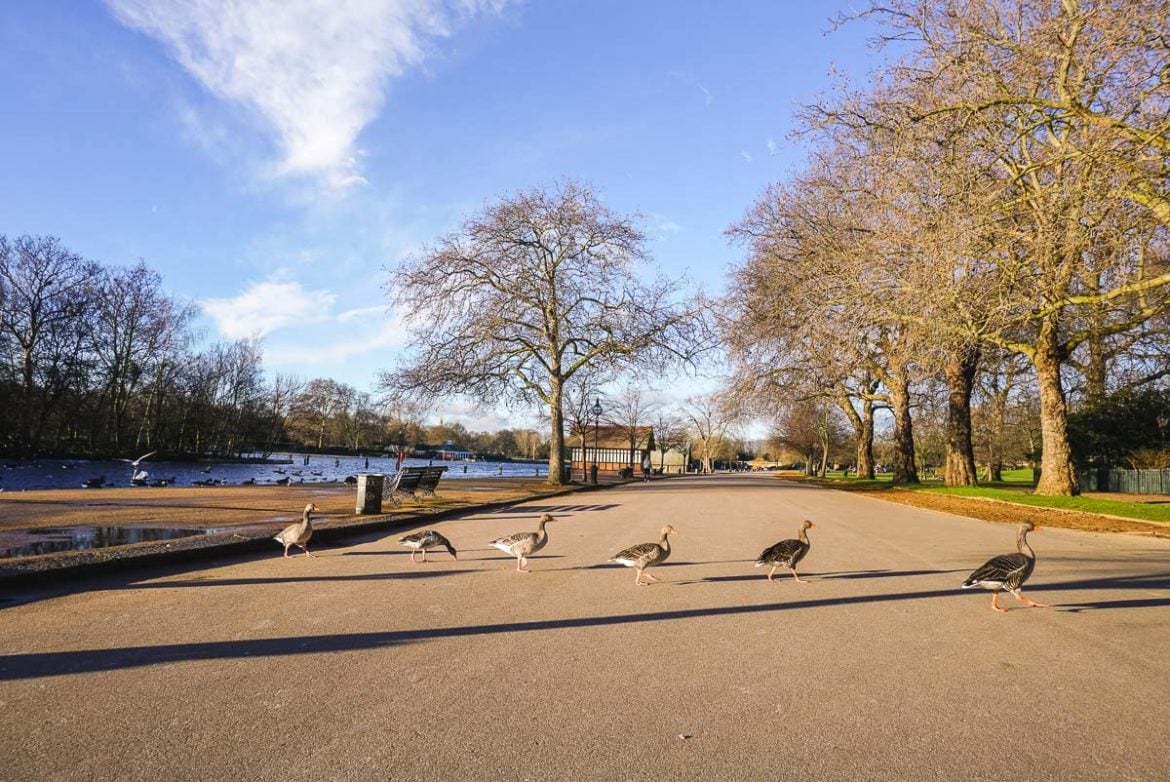 Best Hyde Park Picnic Spots 2022 Guide