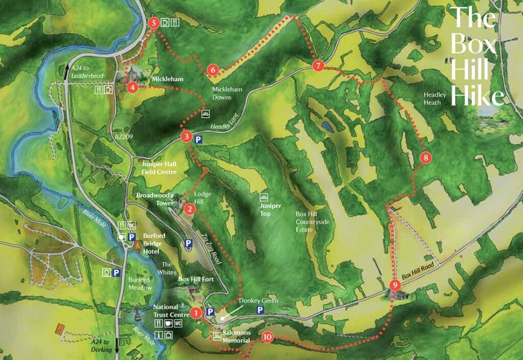 The Definitive Guide to the Box Hill Hike, England (2022 Guide)