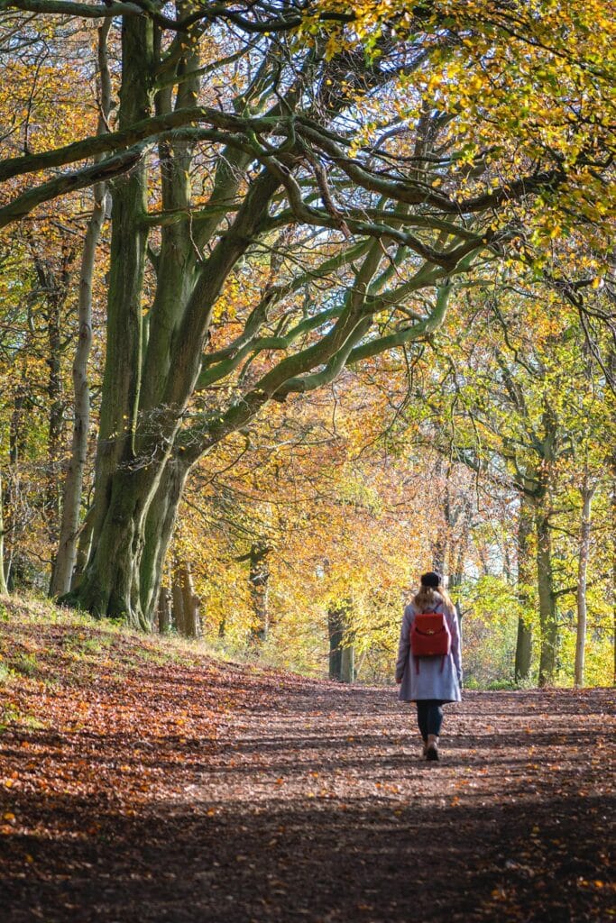 A Detailed Guide to the Ivinghoe Beacon Walk, Buckinghamshire (2024)