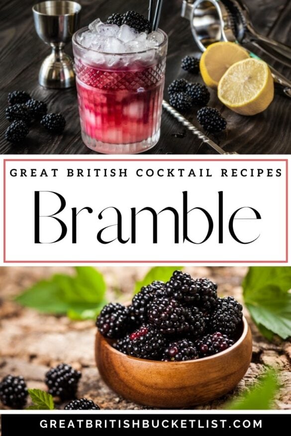 The Ultimate Bramble Cocktail Recipe + 6 Brambles With A Twist (2023)