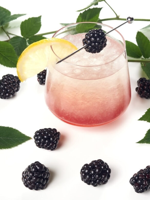 The Ultimate Bramble Cocktail Recipe + 6 Brambles With A Twist