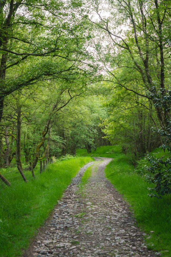 The Ultimate Guide To The Stiperstones Walk, Shropshire (2024 Guide)