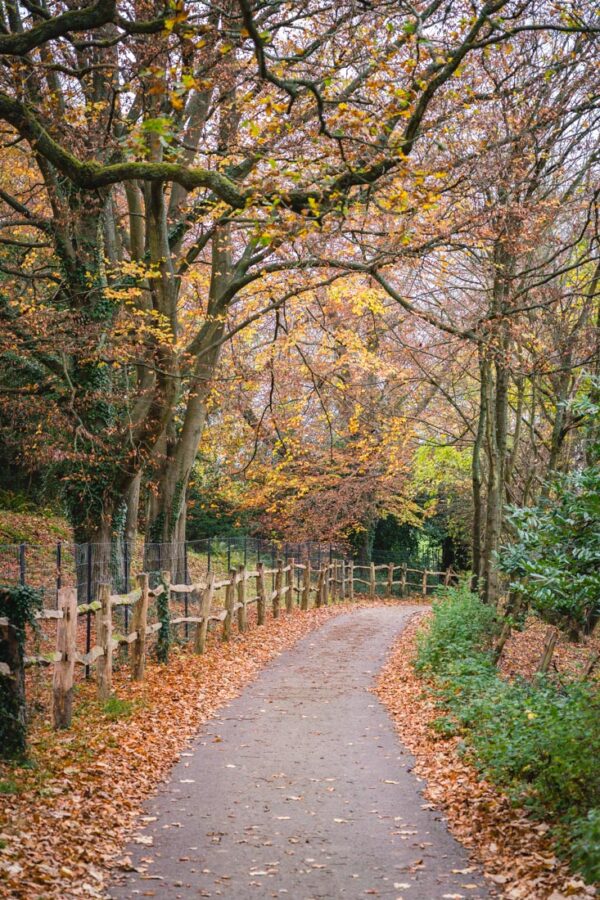 A Detailed Guide To The Polesden Lacey Walk, Surrey (2024 Guide)