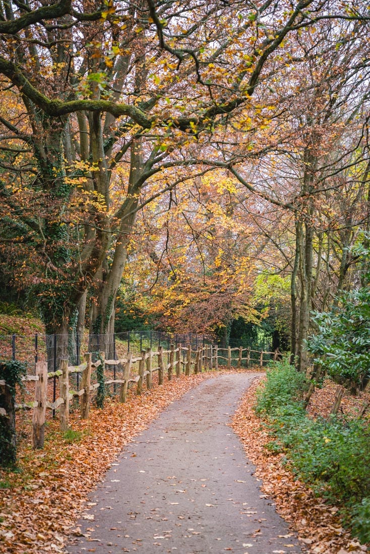 A Detailed Guide to the Polesden Lacey Walk, Surrey (2024 Guide)