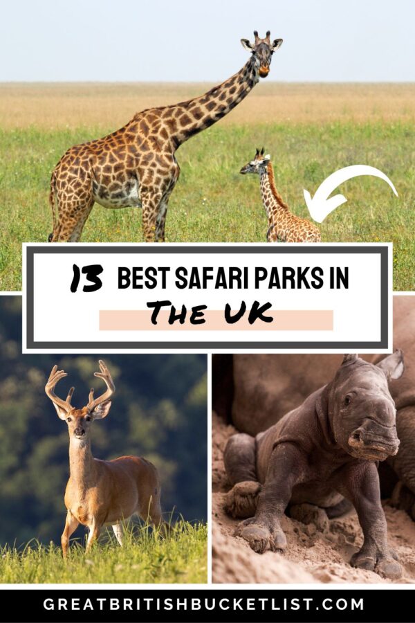 biggest safari in uk