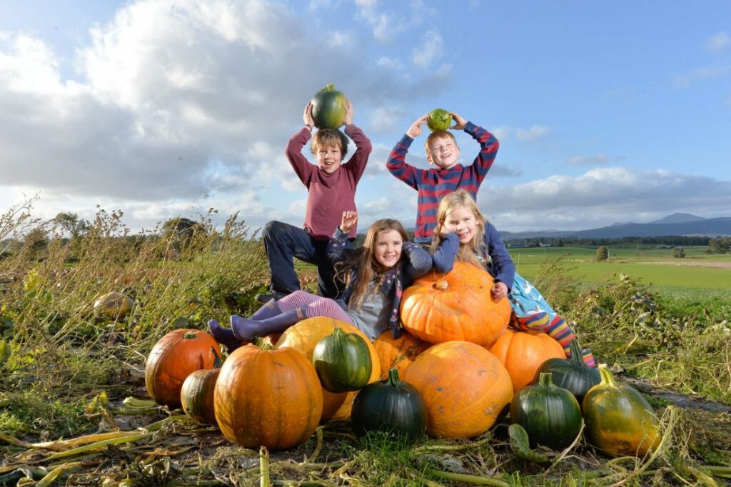 13 BEST Things To Do In Scotland In Autumn 2023 Guide 